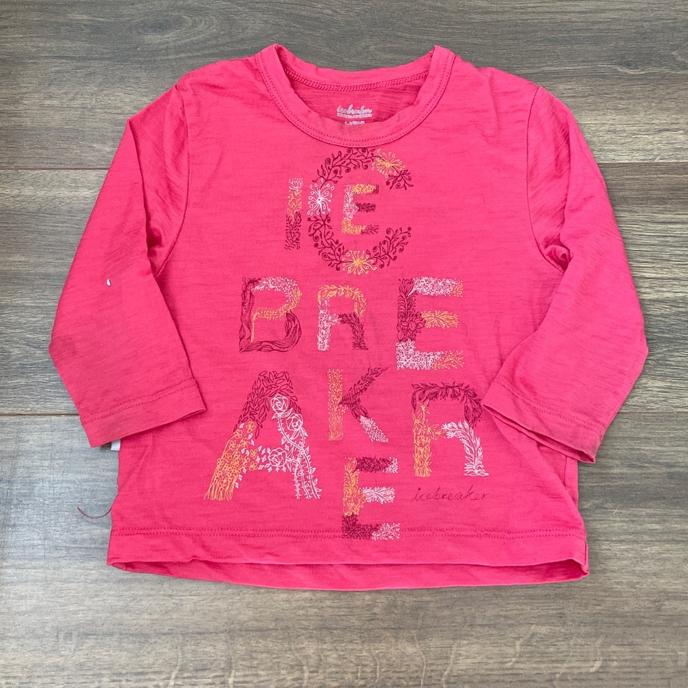 2/$30 Icebreaker 100% Merino Wool top